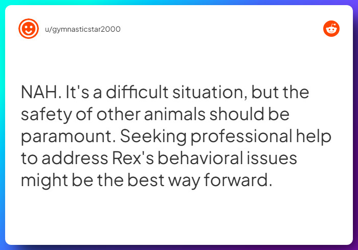 Comment from u/gymnasticstar2000