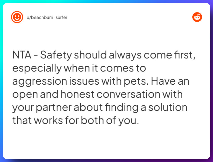 Comment from u/beachbum_surfer