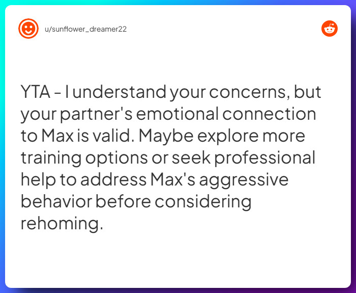 Comment from u/sunflower_dreamer22