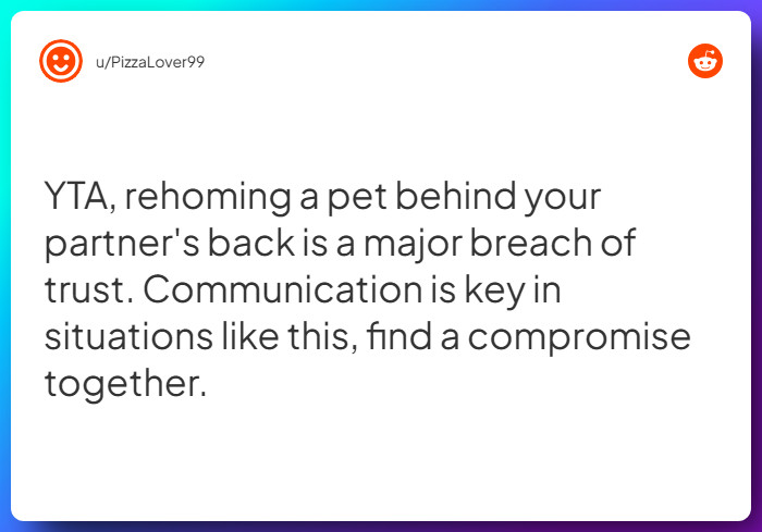 Comment from u/PizzaLover99