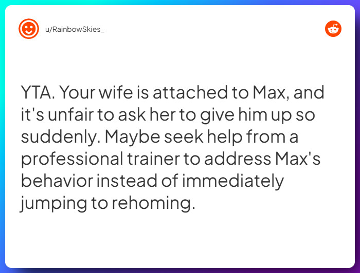 Comment from u/RainbowSkies_