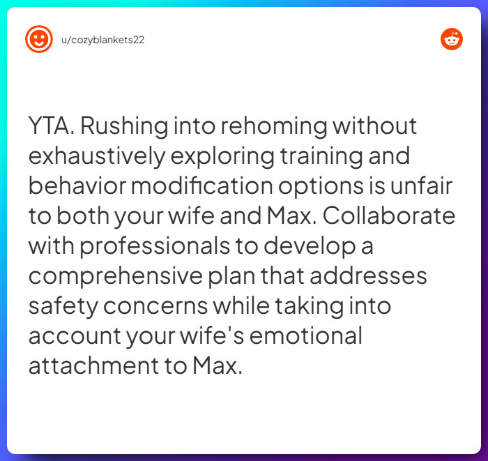 Comment from u/cozyblankets22