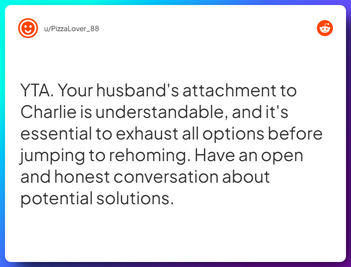 Comment from u/PizzaLover_88