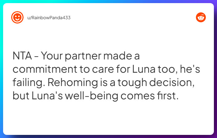 Comment from u/RainbowPanda433