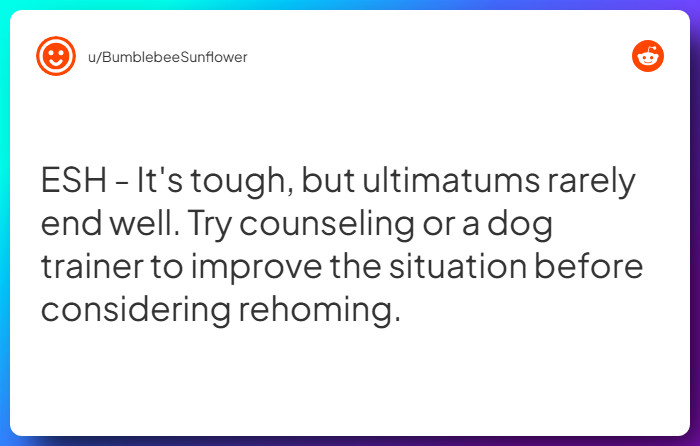 Comment from u/BumblebeeSunflower