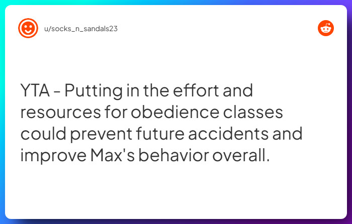 Comment from u/socks_n_sandals23