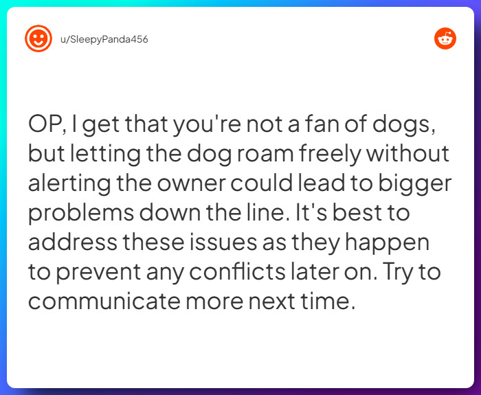 Comment from u/SleepyPanda456