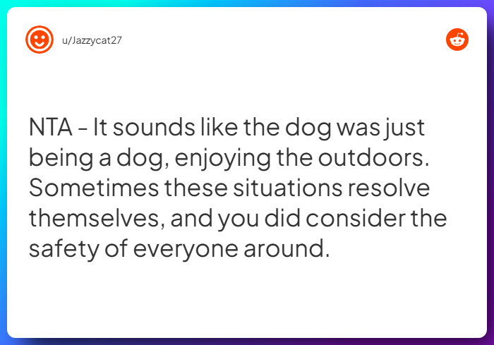 Comment from u/Jazzycat27