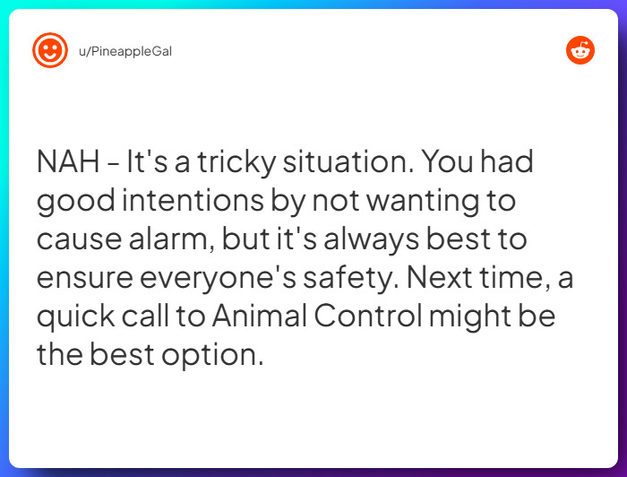 Comment from u/PineappleGal