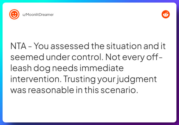 Comment from u/MoonlitDreamer