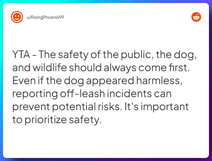 Comment from u/RisingPhoenix99