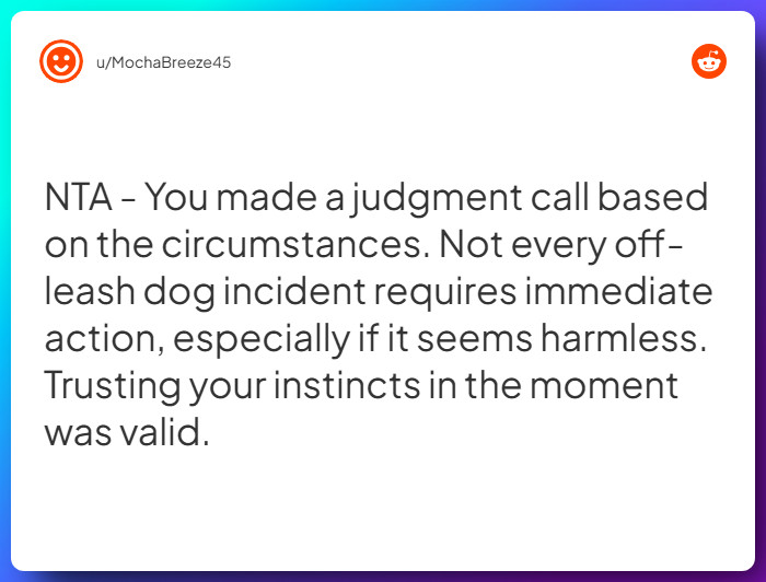 Comment from u/MochaBreeze45