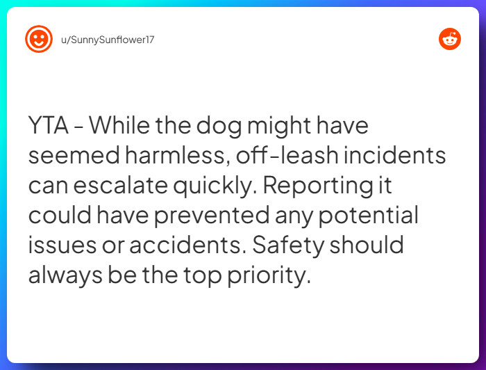 Comment from u/SunnySunflower17