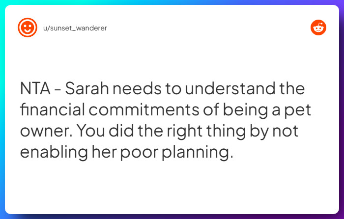 Comment from u/sunset_wanderer