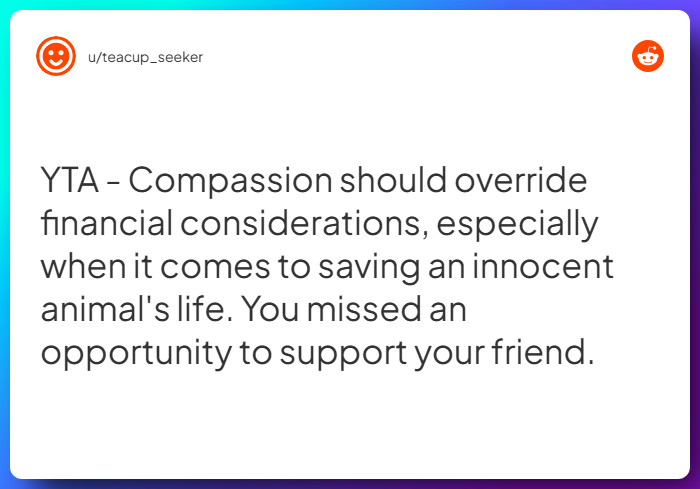 Comment from u/teacup_seeker