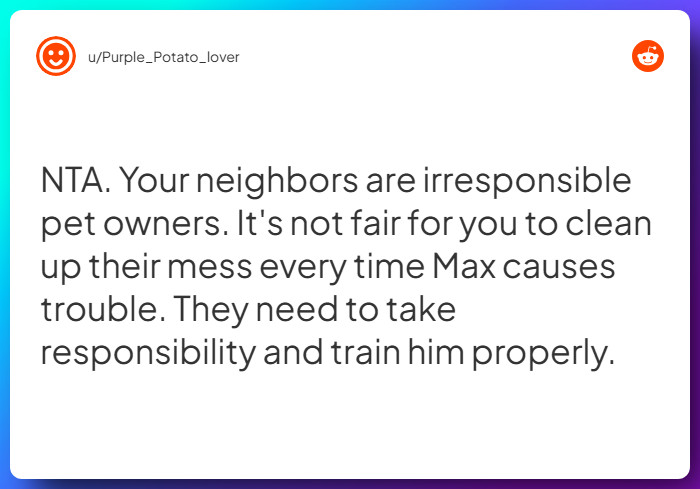 Comment from u/Purple_Potato_lover