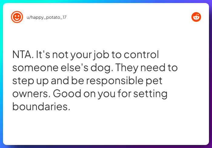 Comment from u/happy_potato_17