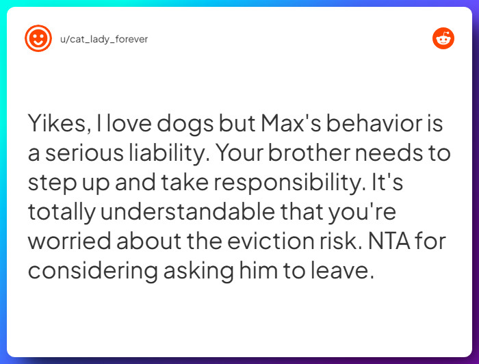 Comment from u/cat_lady_forever