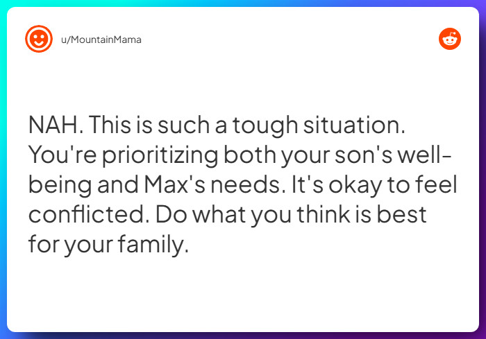 Comment from u/MountainMama