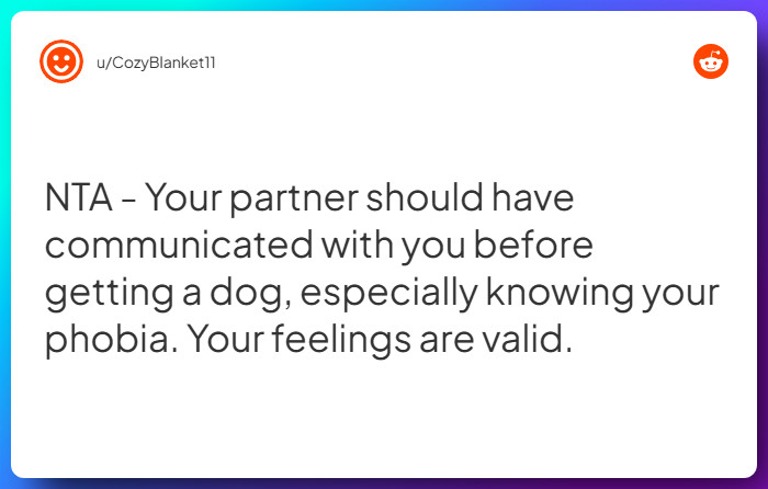 Comment from u/CozyBlanket11