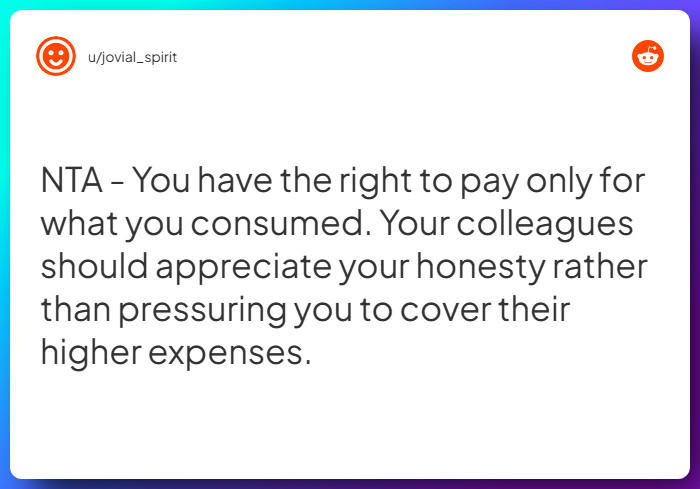 Comment from u/jovial_spirit