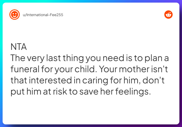 Comment from u/International-Fee255