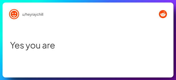 Comment from u/heyraychill