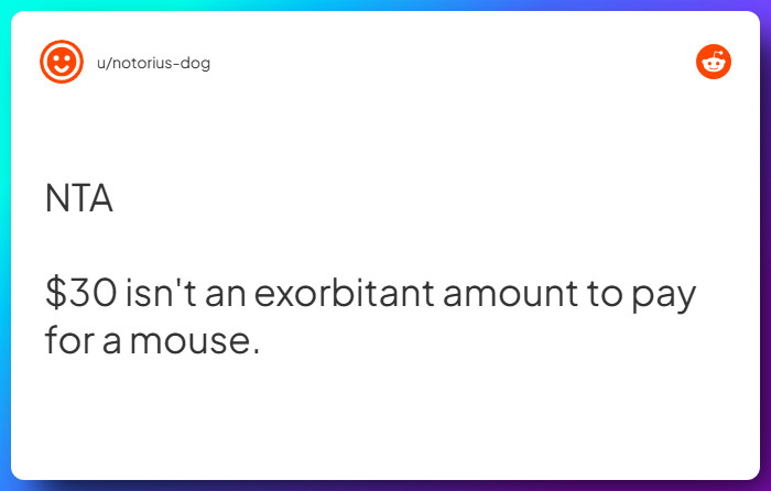 Comment from u/notorius-dog