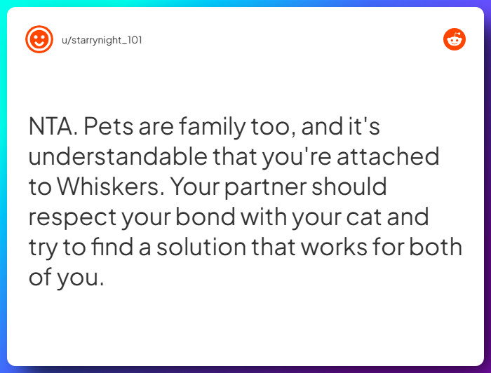 Comment from u/starrynight_101
