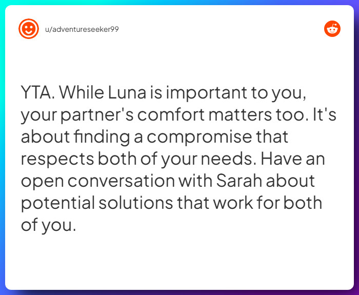 Comment from u/adventureseeker99