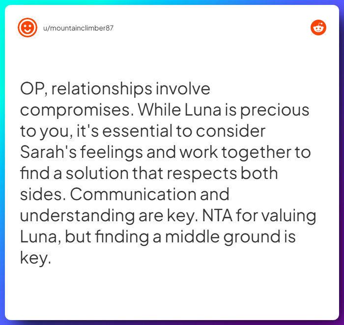 Comment from u/mountainclimber87