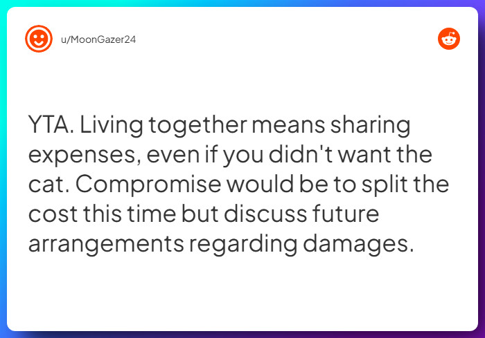 Comment from u/MoonGazer24