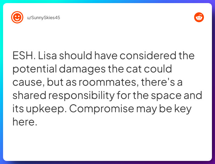 Comment from u/SunnySkies45