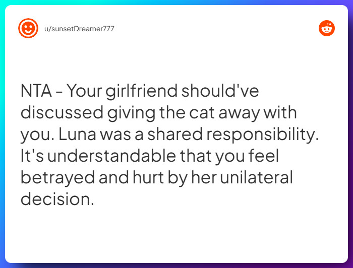 Comment from u/sunsetDreamer777