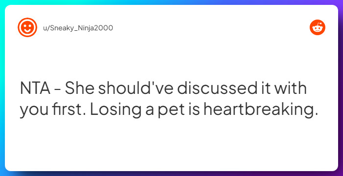 Comment from u/Sneaky_Ninja2000