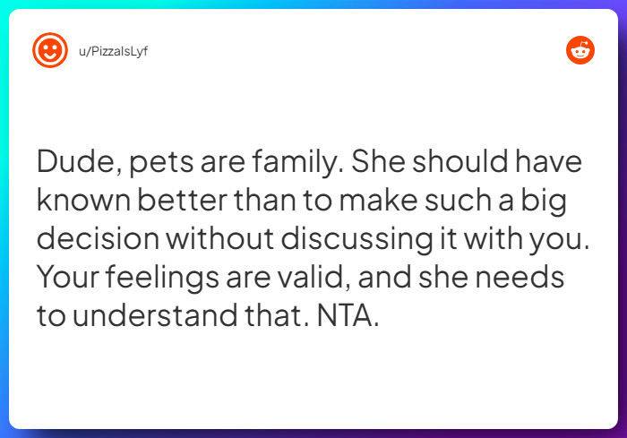 Comment from u/PizzaIsLyf