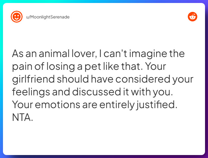 Comment from u/MoonlightSerenade