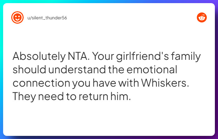 Comment from u/silent_thunder56
