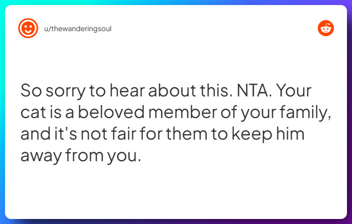 Comment from u/thewanderingsoul