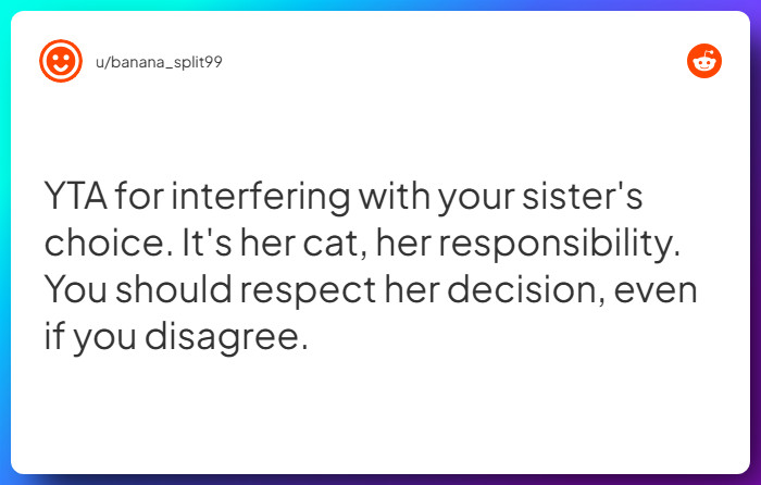 Comment from u/banana_split99