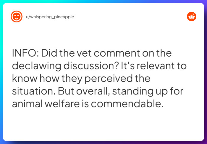 Comment from u/whispering_pineapple