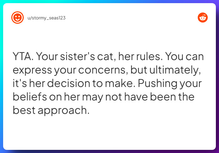 Comment from u/stormy_seas123