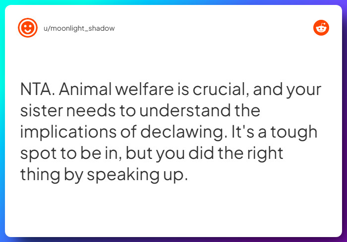 Comment from u/moonlight_shadow