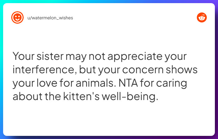 Comment from u/watermelon_wishes