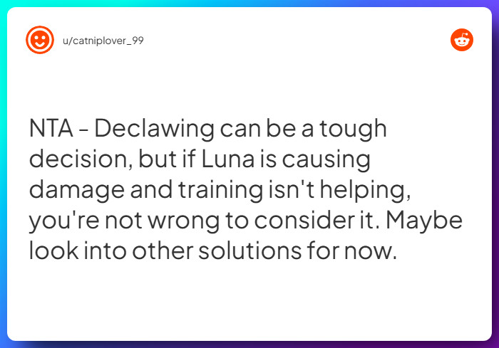 Comment from u/catniplover_99