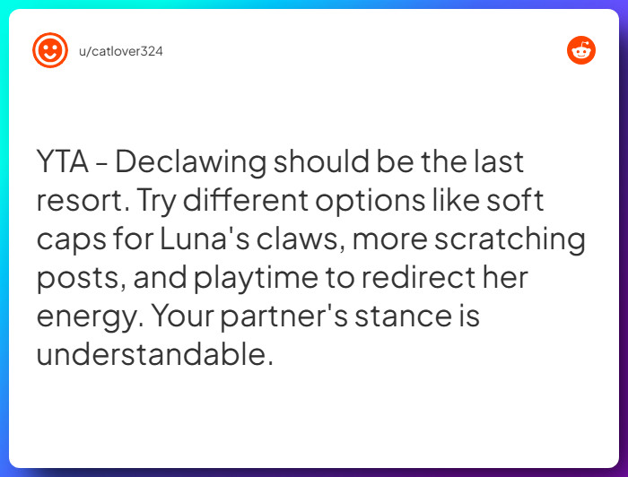 Comment from u/catlover324