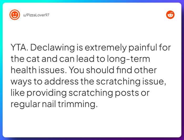 Comment from u/PizzaLover97