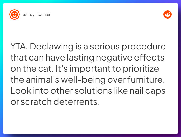 Comment from u/cozy_sweater