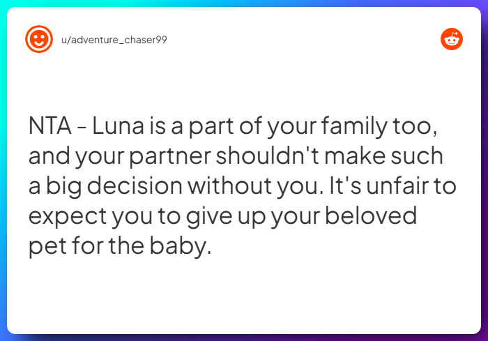 Comment from u/adventure_chaser99