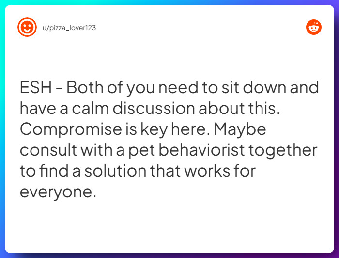 Comment from u/pizza_lover123